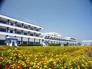 API-Company-in-Hyderabad
